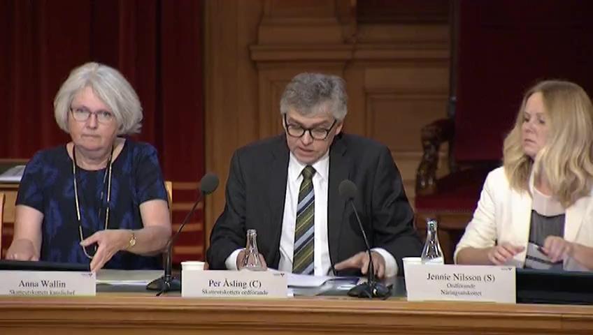 Stillbild från Öppen utfrågning, Öppen utfrågning om konkurrenskraften hos svenska multinationella företag efter nya internationella skatteregler