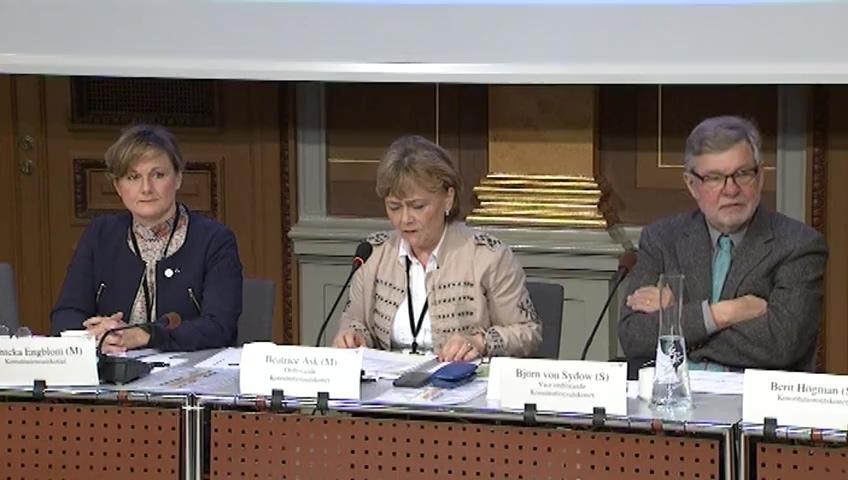 Stillbild från Öppen utfrågning, Hearing om nya svenskar och demokratin