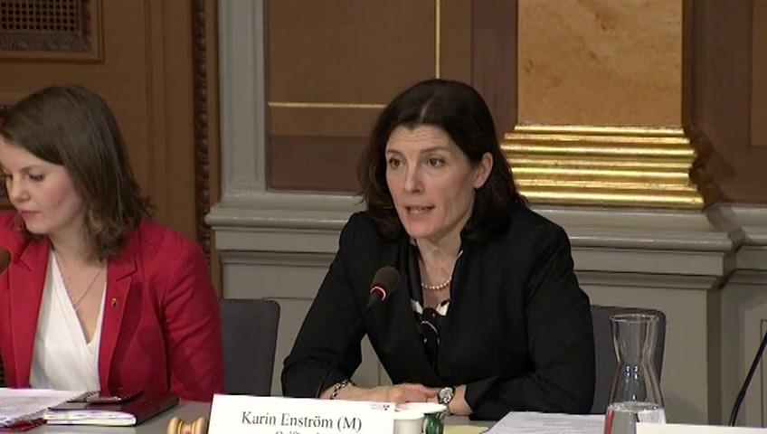 Stillbild från Öppen utfrågning, KU-utfrågning om granskningsärende