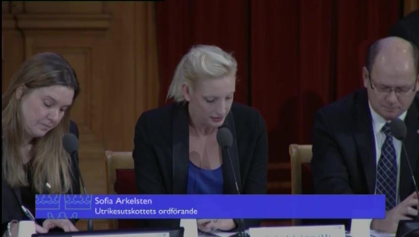 Stillbild från Öppen utfrågning, EU:s säkerhetspolitik