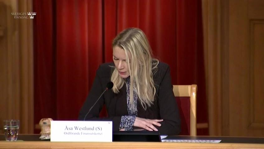 Stillbild från Öppen utfrågning, Finansutskottets öppna utfrågning om finansiell stabilitet