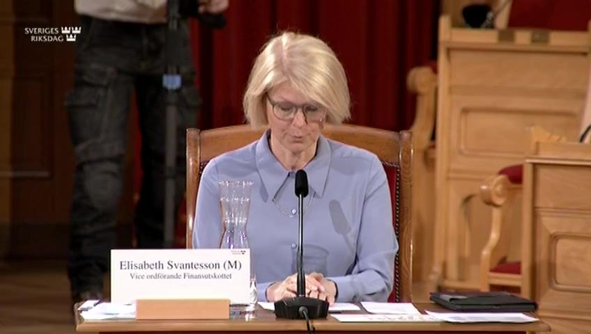 Stillbild från Öppen utfrågning, Öppen utfrågning om Riksbankens rapport Redogörelse för penningpolitiken 2020