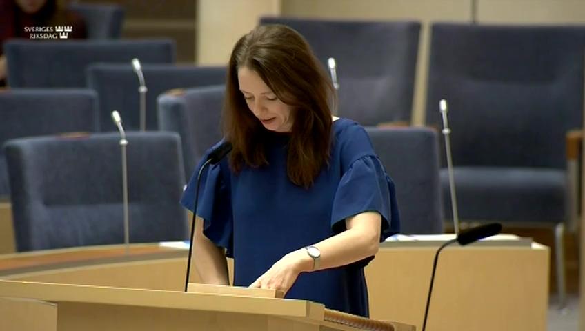 Stillbild från Interpellationsdebatt, EU:s handlingsplan mot rasism