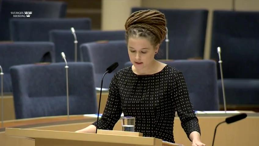 Stillbild från Interpellationsdebatt, Stöd till ungdomsorganisationer