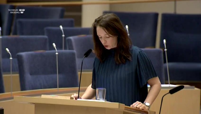 Stillbild från Interpellationsdebatt, Rasism och afrofobi i Sverige