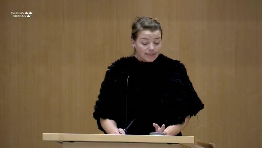 Stillbild från Debatt om förslag, Skärpta regler avseende hanteringen av sprängämnesprekursorer