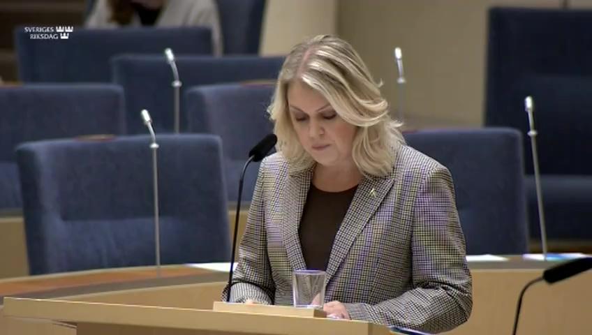 Stillbild från Interpellationsdebatt, Projektbidrag från Allmänna arvsfonden