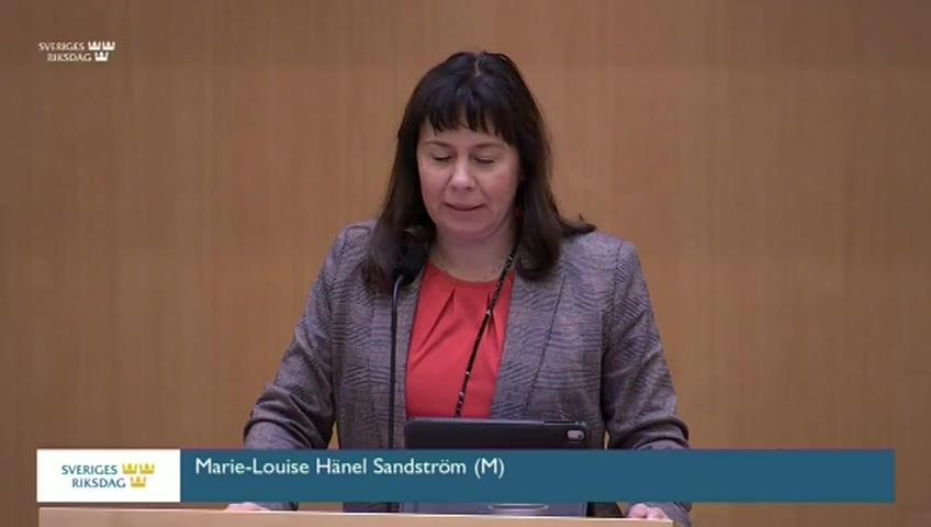 Stillbild från Debatt om förslag, Riksrevisionens rapport om holdingbolag vid universitet och högskolor