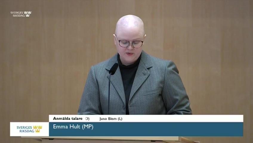 Stillbild från Debatt om förslag, Ett stärkt barnrättsperspektiv i vårdnadstvister