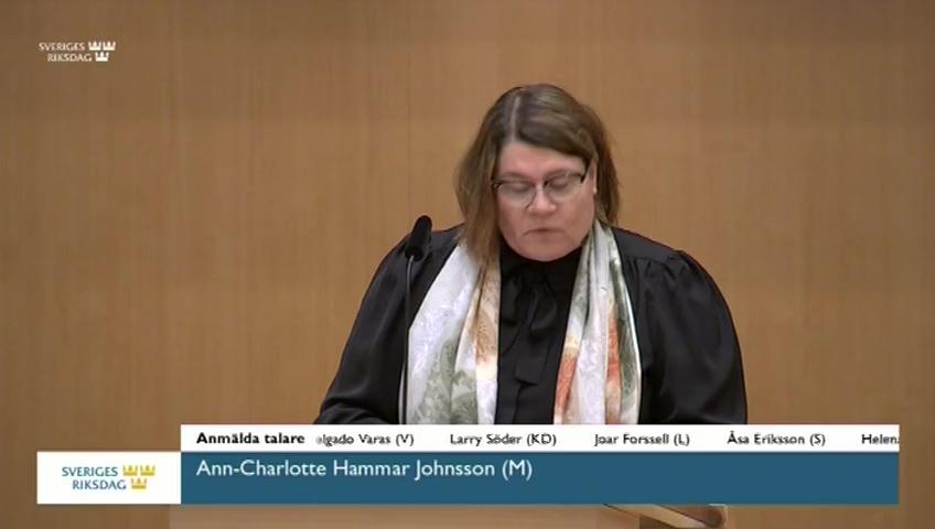 Stillbild från Debatt om förslag, Kommissionens meddelande om en översyn av handelspolitiken