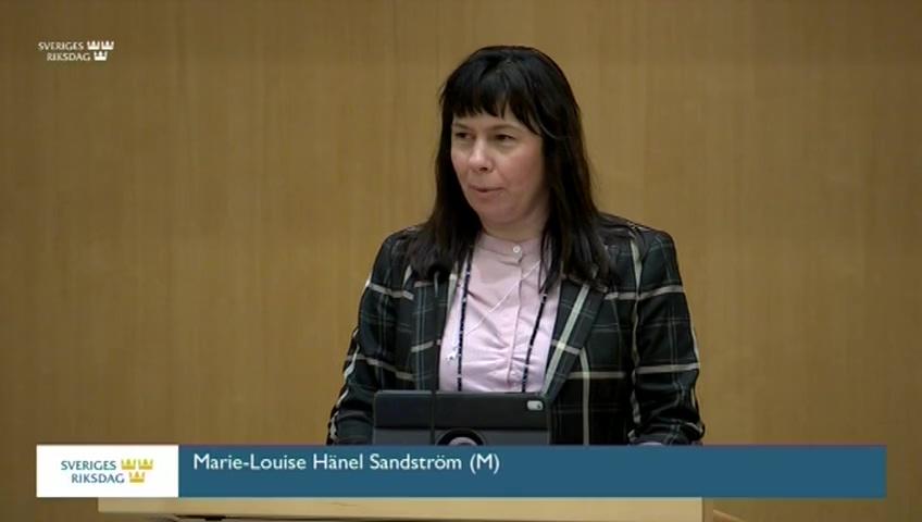 Stillbild från Debatt om förslag, Studiestöd