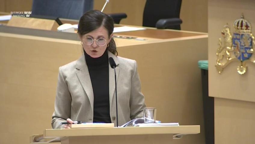 Stillbild från Interpellationsdebatt, Mäns våld mot kvinnor
