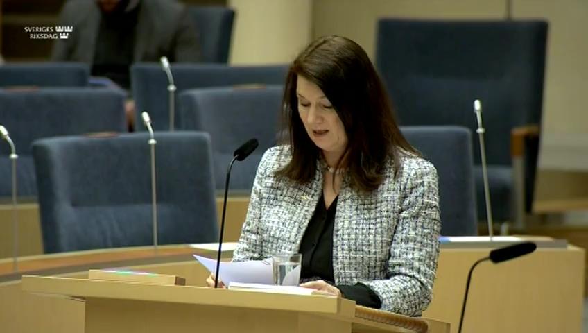 Stillbild från Interpellationsdebatt, Regeringens förtroende för Josep Borrell