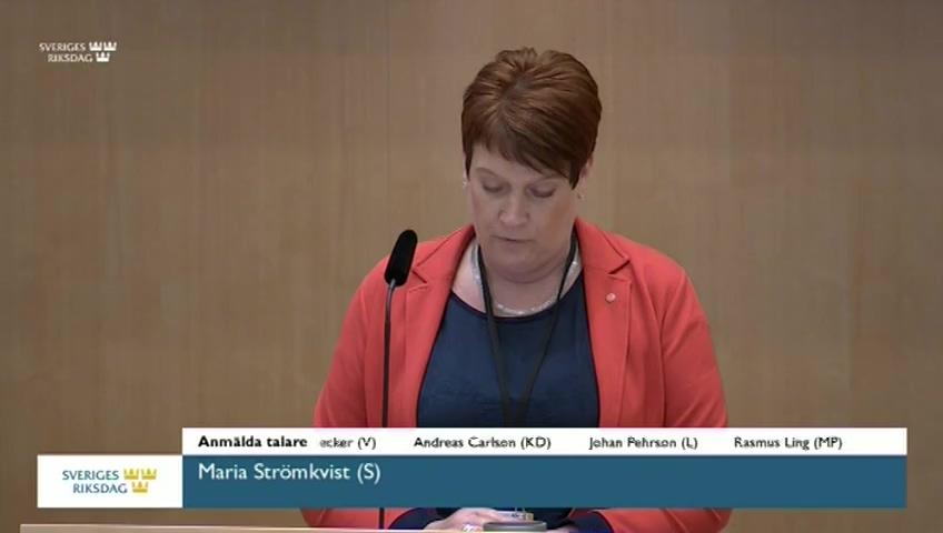 Stillbild från Debatt om förslag, Våldsbrott och brottsoffer