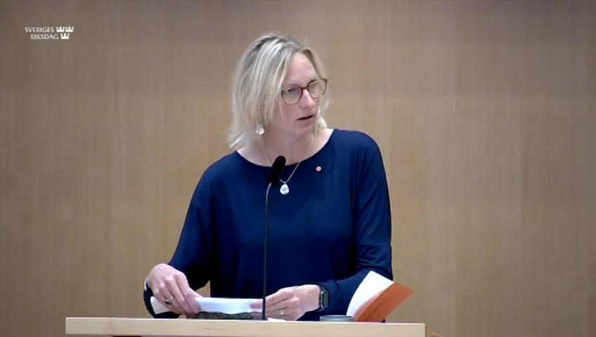 Stillbild från Debatt om förslag, Skärpta straff för de allvarligaste fallen av immaterialrättsintrång