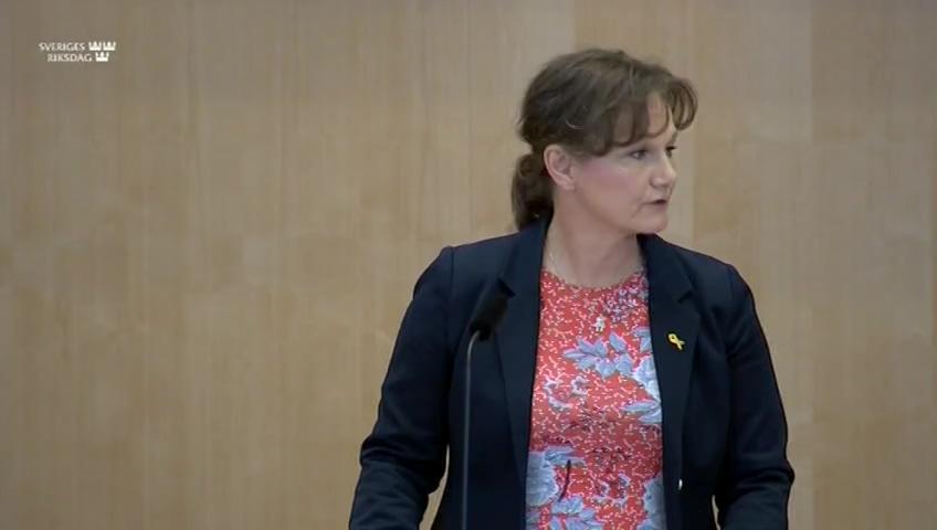 Stillbild från Debatt om förslag, Riksrevisionens rapport om fri entré till statliga museer