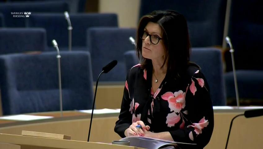 Stillbild från Interpellationsdebatt, Utvecklingsåret