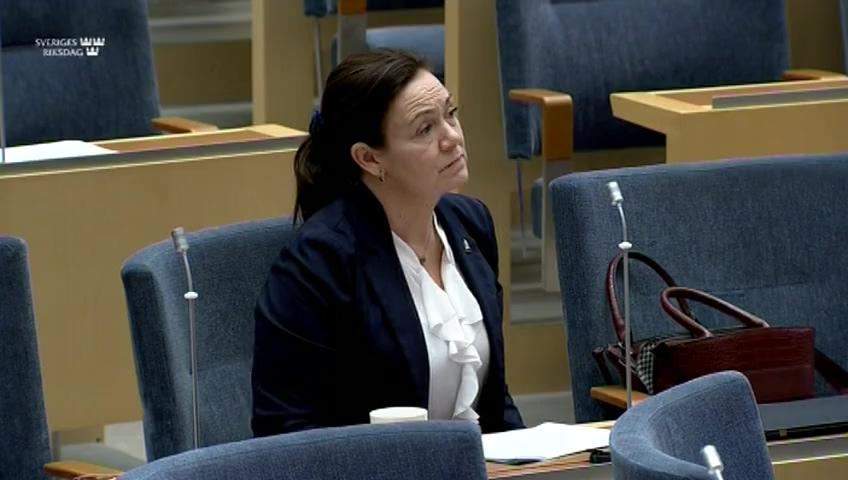 Stillbild från Interpellationsdebatt, Lärarnas arbetsmiljö 