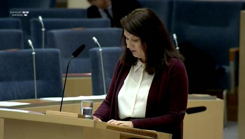 Stillbild från Interpellationsdebatt, Värnande av mänskliga rättigheter för Kinas medborgare