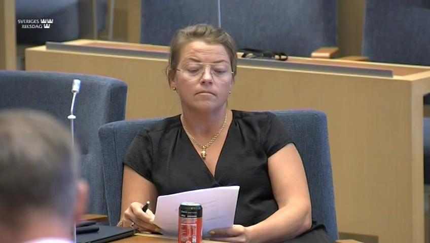 Stillbild från Interpellationsdebatt, Behovet av deltidsbrandmän
