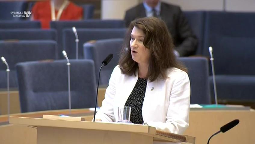 Stillbild från Interpellationsdebatt, Rasismen i USA