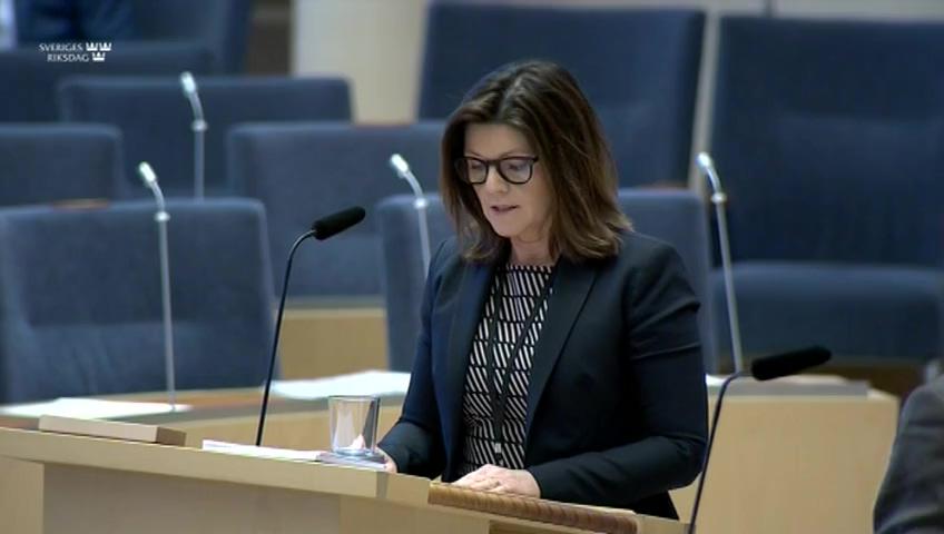 Stillbild från Interpellationsdebatt, Utvecklingsårets betydelse för bristyrken