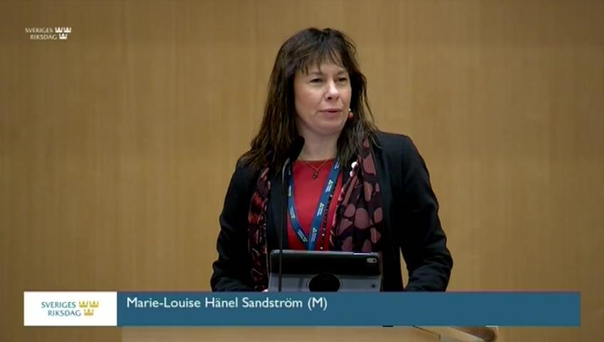 Stillbild från Debatt om förslag, Utgiftsområde 15 Studiestöd