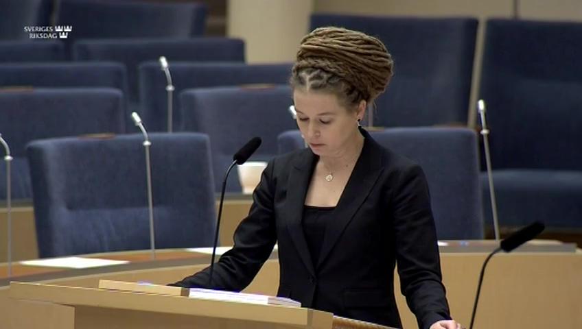 Stillbild från Interpellationsdebatt, Nationalmuseum