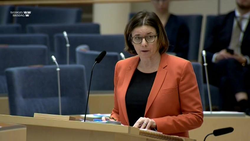 Stillbild från Interpellationsdebatt, Regeringens tillåtlighetsprövning