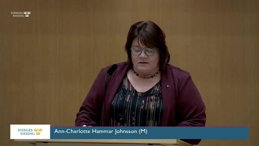 Stillbild från Debatt om förslag, Utgiftsområde 19 Regional tillväxt