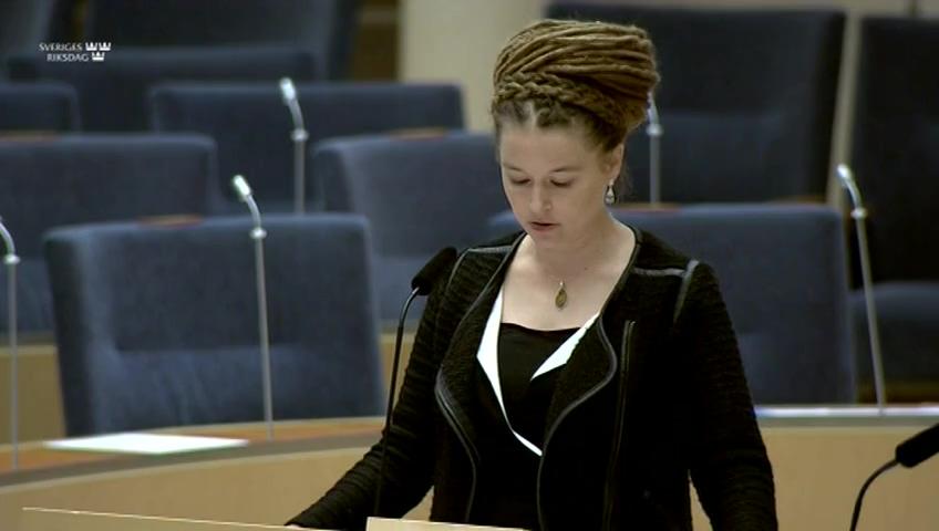 Stillbild från Interpellationsdebatt, Demonstration och demokrati