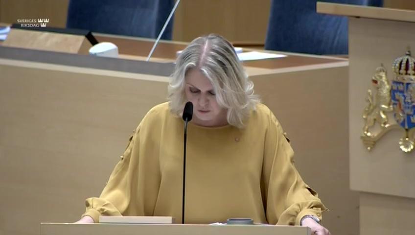 Stillbild från Interpellationsdebatt, Särskilda köer till svensk sjukvård