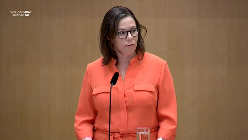 Stillbild från Debatt om förslag, Arbetskraftsinvandring