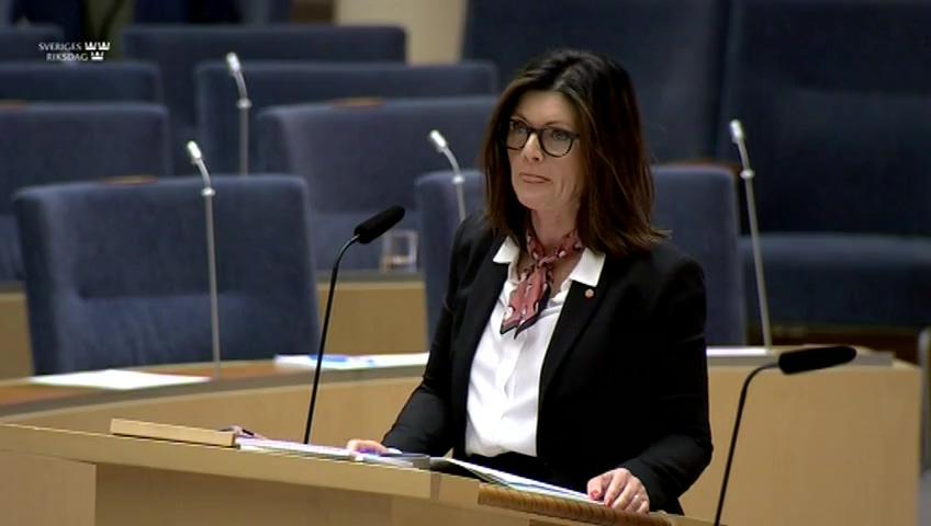 Stillbild från Interpellationsdebatt, Utvecklingstid