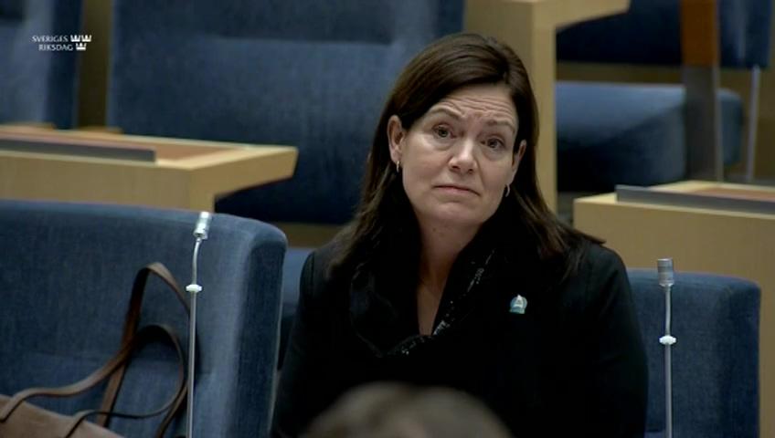 Stillbild från Interpellationsdebatt, En nationell handlingsplan mot bortförande och bortgifte av barn