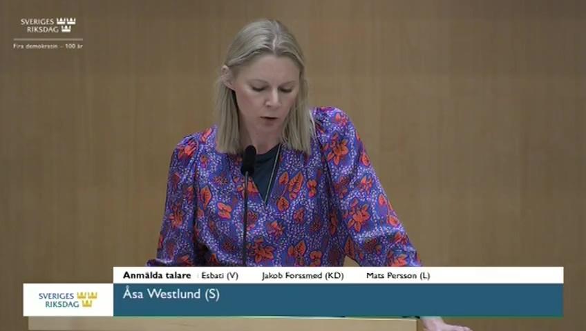 Stillbild från Debatt om förslag, Extra ändringsbudget för 2022 – Åtgärder för att stärka rikets militära försvar och kompensation till hushållen för höga elpriser