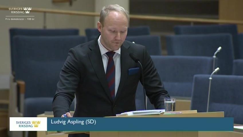 Stillbild från Interpellationsdebatt, Arbetsmarknadsprövning för uppehållstillstånd på grund av arbete