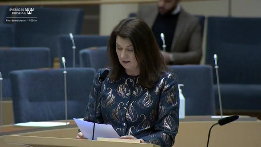 Stillbild från Interpellationsdebatt, Säkerhetshot i Sverige