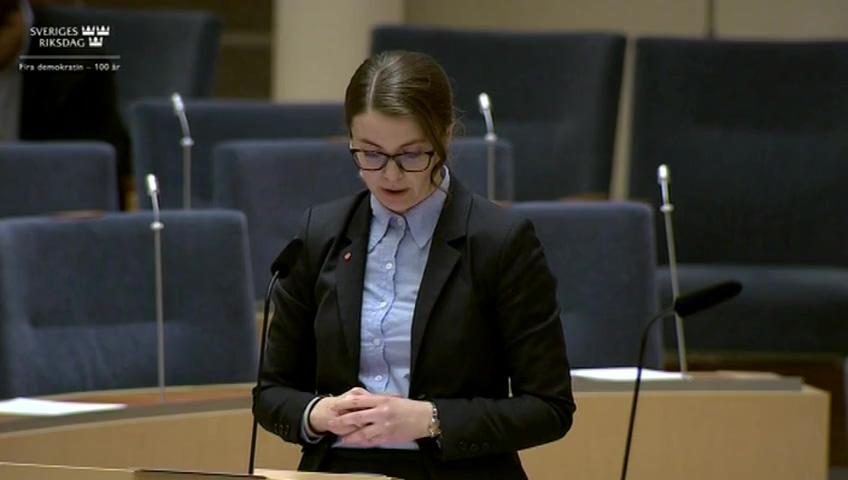 Stillbild från Interpellationsdebatt, De ekonomiska förutsättningarna för kommuner med många delårsboende