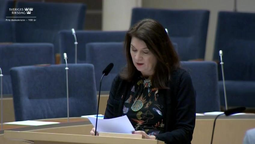 Stillbild från Interpellationsdebatt, Kriget i Etiopien