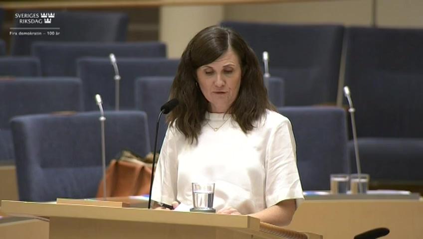 Stillbild från Interpellationsdebatt, Sveriges villapolitik