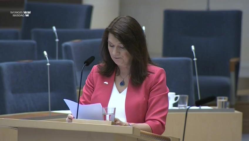 Stillbild från Interpellationsdebatt, Sveriges relationer med Belarus