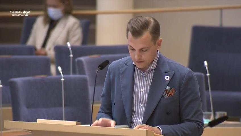 Stillbild från Interpellationsdebatt, Sveriges insatser i Mali