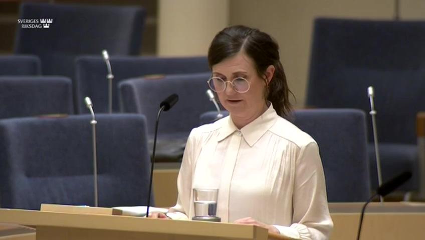 Stillbild från Interpellationsdebatt, Definitionen av rasism i nationell plan