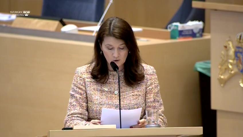 Stillbild från Interpellationsdebatt, Den politiska krisen i Georgien