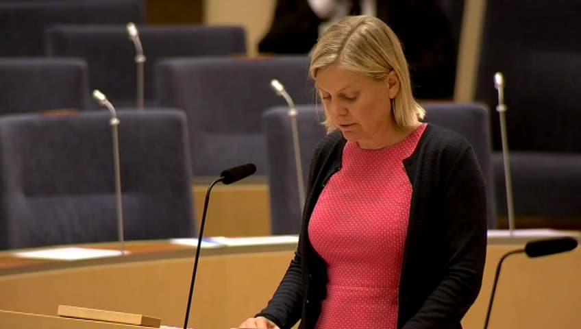 Stillbild från Interpellationsdebatt, Skatteverkets minskade prioritering av brottslighet