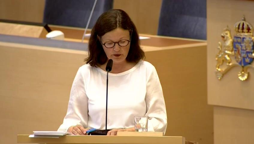 Stillbild från Interpellationsdebatt, Färre skolinspektioner