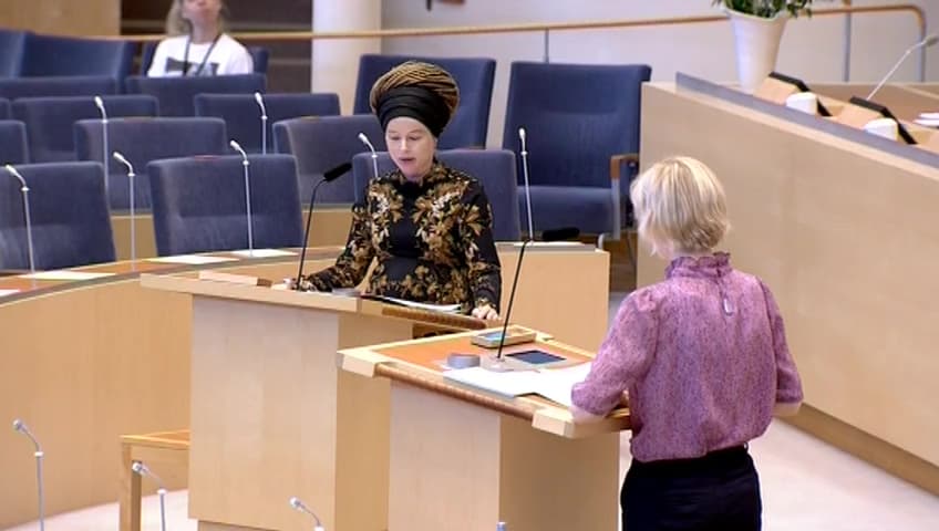 Stillbild från Interpellationsdebatt, Strategin för romsk inkludering 