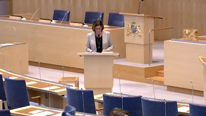 Stillbild från Interpellationsdebatt, Konsekvensanalys vid rivning av dammar