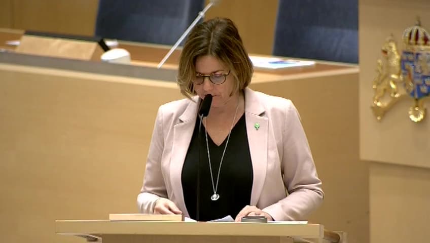 Stillbild från Interpellationsdebatt, Fastighetsägarnas ansvar för gaturenhållning